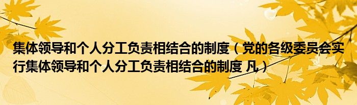 集体领导和个人分工负责相结合的制度（党的各级委员会实行集体领导和个人分工负责相结合的制度 凡）