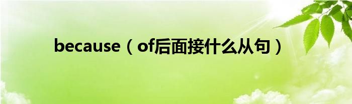 because（of后面接什么从句）