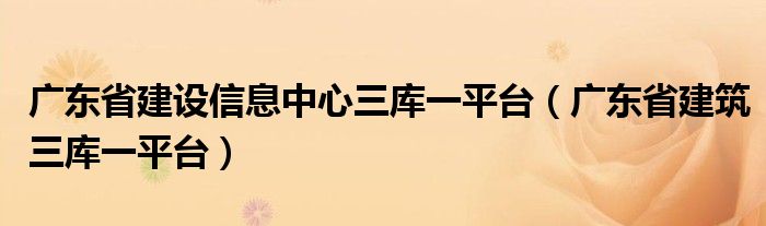 广东省建设信息中心三库一平台（广东省建筑三库一平台）