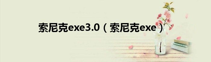 索尼克exe3.0（索尼克exe）