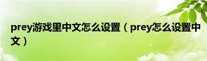 prey游戏里中文怎么设置（prey怎么设置中文）