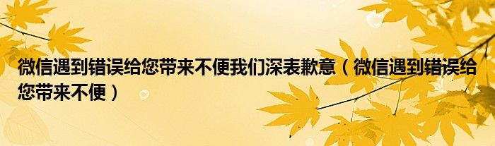 微信遇到错误给您带来不便我们深表歉意（微信遇到错误给您带来不便）