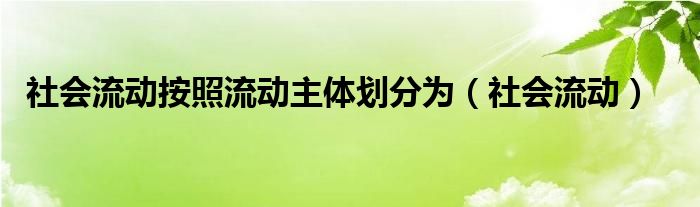 社会流动按照流动主体划分为（社会流动）