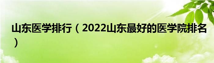 山东医学排行（2022山东最好的医学院排名）