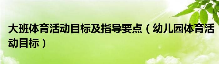 大班体育活动目标及指导要点（幼儿园体育活动目标）