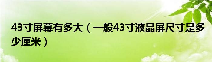 43寸屏幕有多大（一般43寸液晶屏尺寸是多少厘米）