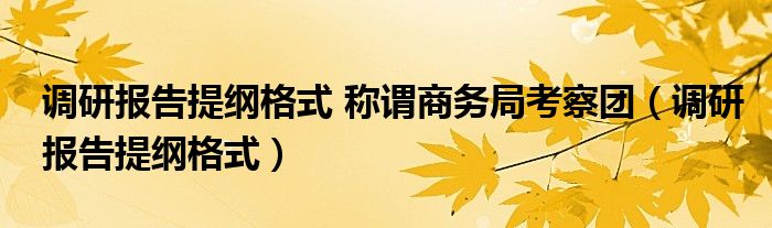 调研报告提纲格式 称谓商务局考察团（调研报告提纲格式）