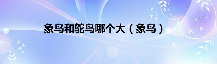 象鸟和鸵鸟哪个大（象鸟）