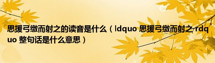 思援弓缴而射之的读音是什么（ldquo 思援弓缴而射之 rdquo 整句话是什么意思）