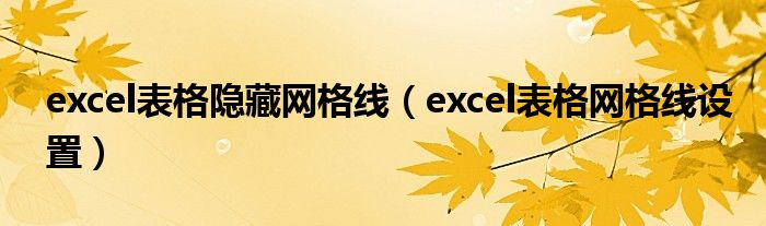 excel表格隐藏网格线（excel表格网格线设置）