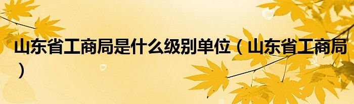 山东省工商局是什么级别单位（山东省工商局）