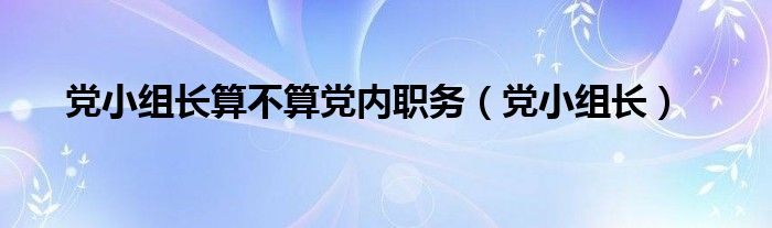 党小组长算不算党内职务（党小组长）