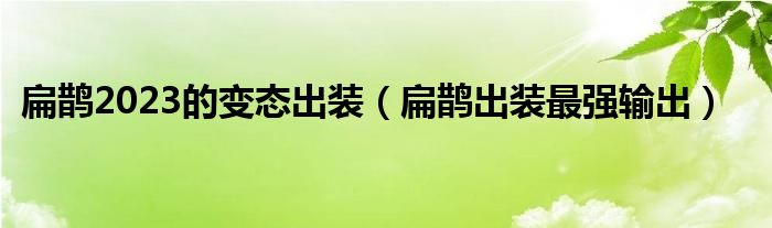 扁鹊2023的变态出装（扁鹊出装最强输出）