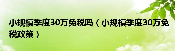 小规模季度30万免税吗（小规模季度30万免税政策）