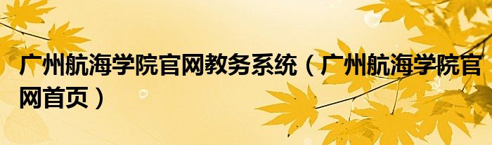 广州航海学院官网教务系统（广州航海学院官网首页）