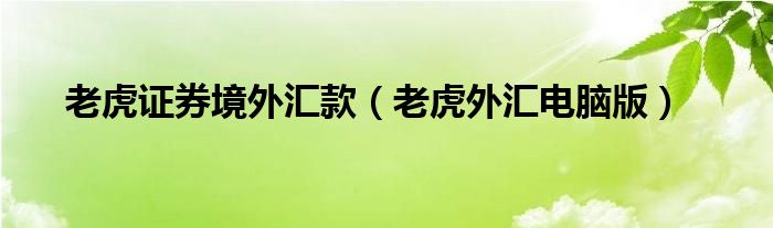 老虎证券境外汇款（老虎外汇电脑版）