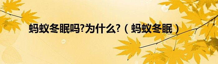 蚂蚁冬眠吗?为什么?（蚂蚁冬眠）