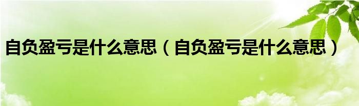 自负盈亏是什么意思（自负盈亏是什么意思）