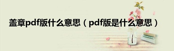 盖章pdf版什么意思（pdf版是什么意思）