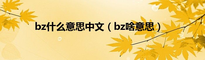 bz什么意思中文（bz啥意思）