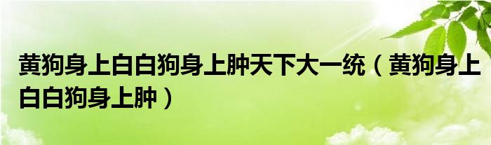 黄狗身上白白狗身上肿天下大一统（黄狗身上白白狗身上肿）