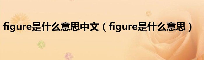 figure是什么意思中文（figure是什么意思）