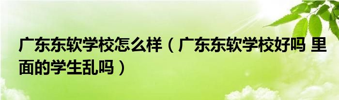 广东东软学校怎么样（广东东软学校好吗 里面的学生乱吗）