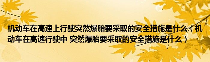 机动车在高速上行驶突然爆胎要采取的安全措施是什么（机动车在高速行驶中 突然爆胎要采取的安全措施是什么）