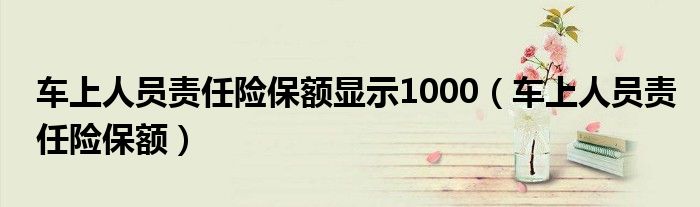 车上人员责任险保额显示1000（车上人员责任险保额）