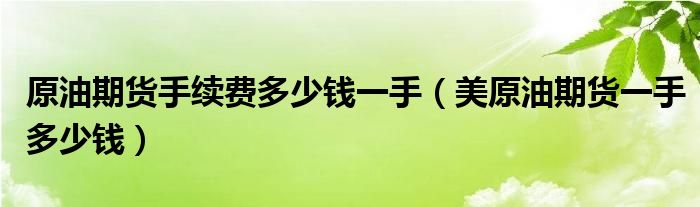 原油期货手续费多少钱一手（美原油期货一手多少钱）