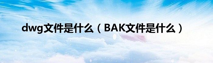 dwg文件是什么（BAK文件是什么）