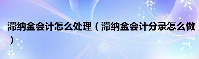 滞纳金会计怎么处理（滞纳金会计分录怎么做）