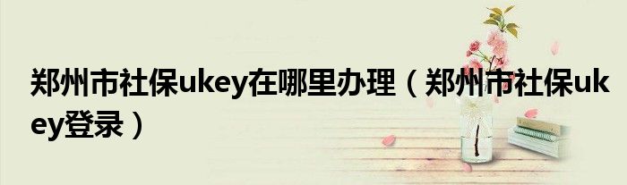 郑州市社保ukey在哪里办理（郑州市社保ukey登录）