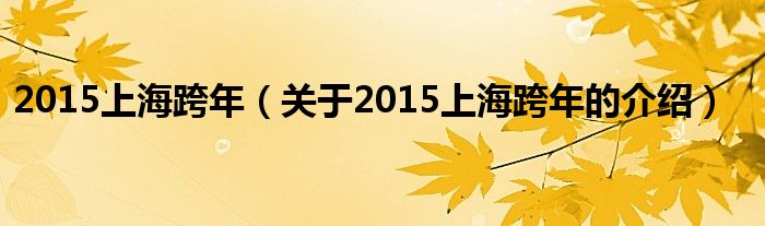 2015上海跨年（关于2015上海跨年的介绍）