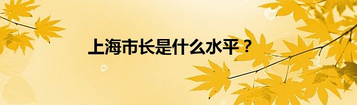 上海市长是什么水平？