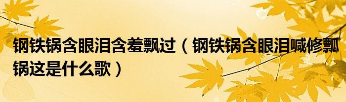 钢铁锅含眼泪含羞飘过（钢铁锅含眼泪喊修瓢锅这是什么歌）