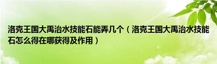 洛克王国大禹治水技能石能弄几个（洛克王国大禹治水技能石怎么得在哪获得及作用）