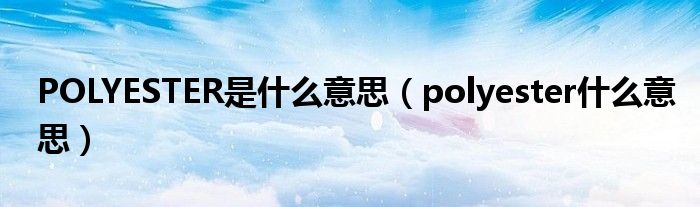 POLYESTER是什么意思（polyester什么意思）