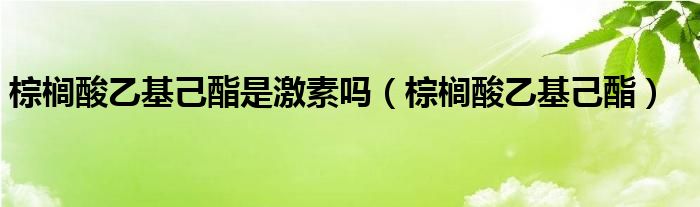 棕榈酸乙基己酯是激素吗（棕榈酸乙基己酯）