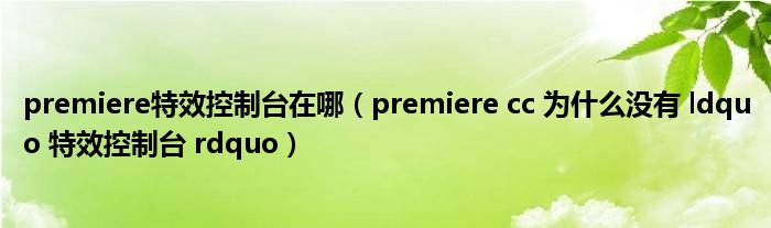 premiere特效控制台在哪（premiere cc 为什么没有 ldquo 特效控制台 rdquo）