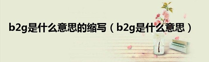 b2g是什么意思的缩写（b2g是什么意思）