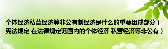 个体经济私营经济等非公有制经济是什么的重要组成部分（宪法规定 在法律规定范围内的个体经济 私营经济等非公有）