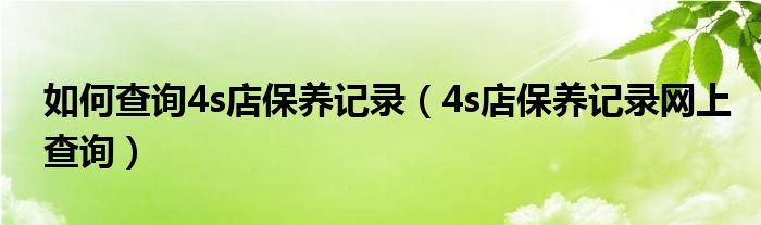 如何查询4s店保养记录（4s店保养记录网上查询）