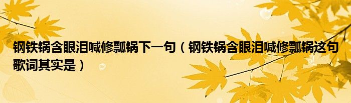 钢铁锅含眼泪喊修瓢锅下一句（钢铁锅含眼泪喊修瓢锅这句歌词其实是）