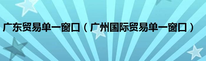 广东贸易单一窗口（广州国际贸易单一窗口）