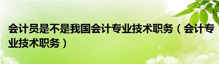 会计员是不是我国会计专业技术职务（会计专业技术职务）