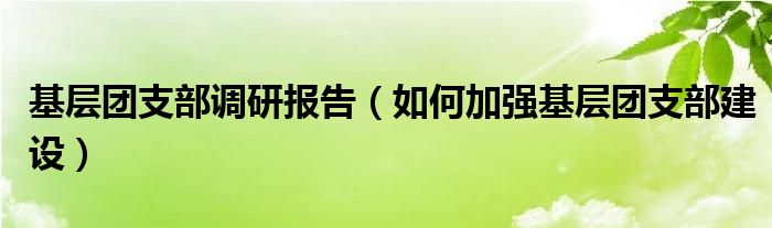 基层团支部调研报告（如何加强基层团支部建设）