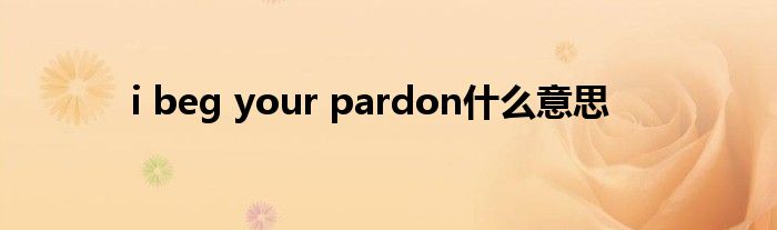 i beg your pardon什么意思