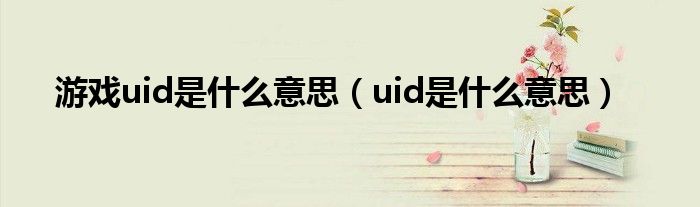 游戏uid是什么意思（uid是什么意思）