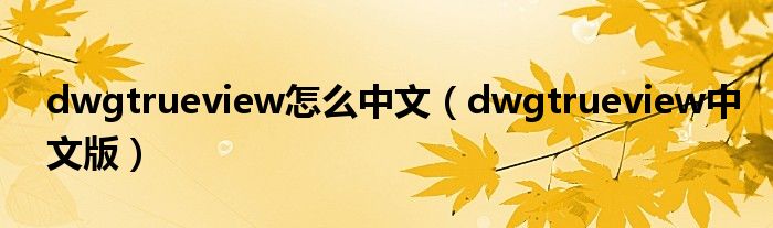 dwgtrueview怎么中文（dwgtrueview中文版）